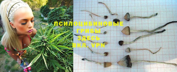 a pvp Армянск