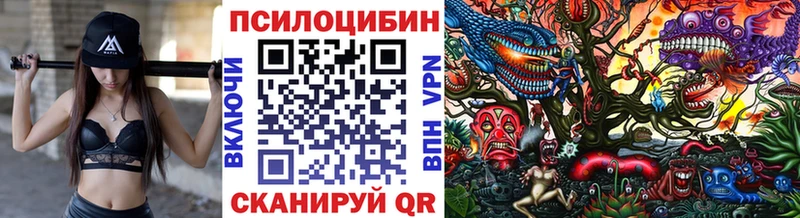 даркнет наркотические препараты  blacksprut сайт  Галлюциногенные грибы MAGIC MUSHROOMS  Облучье  магазин продажи  